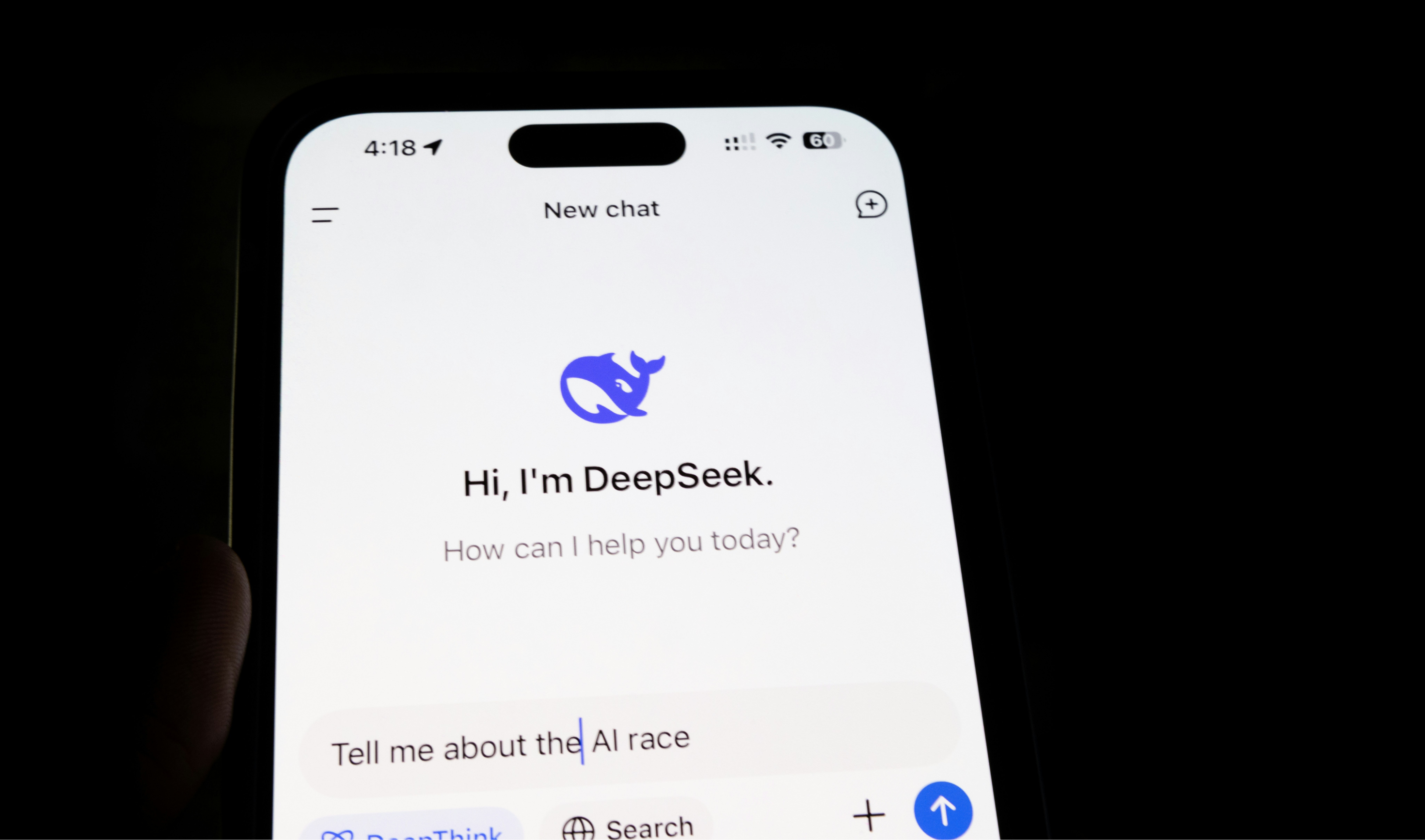 the deepseek ai interface on a mobile device